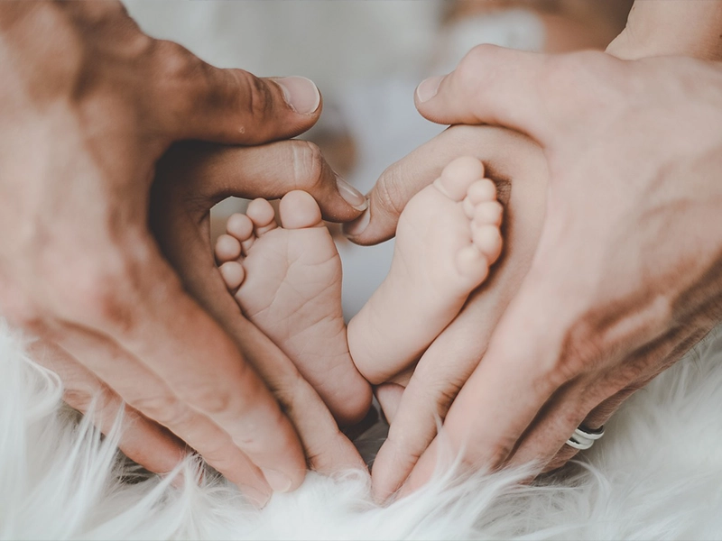 Famille et patrimoine